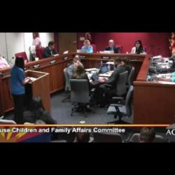 Phoenix, AZ - Foster Youth Speak - DCS Case Specialist Relationships